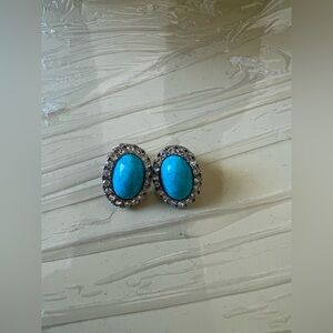 Beautiful Ocean Blue Stone Earrings